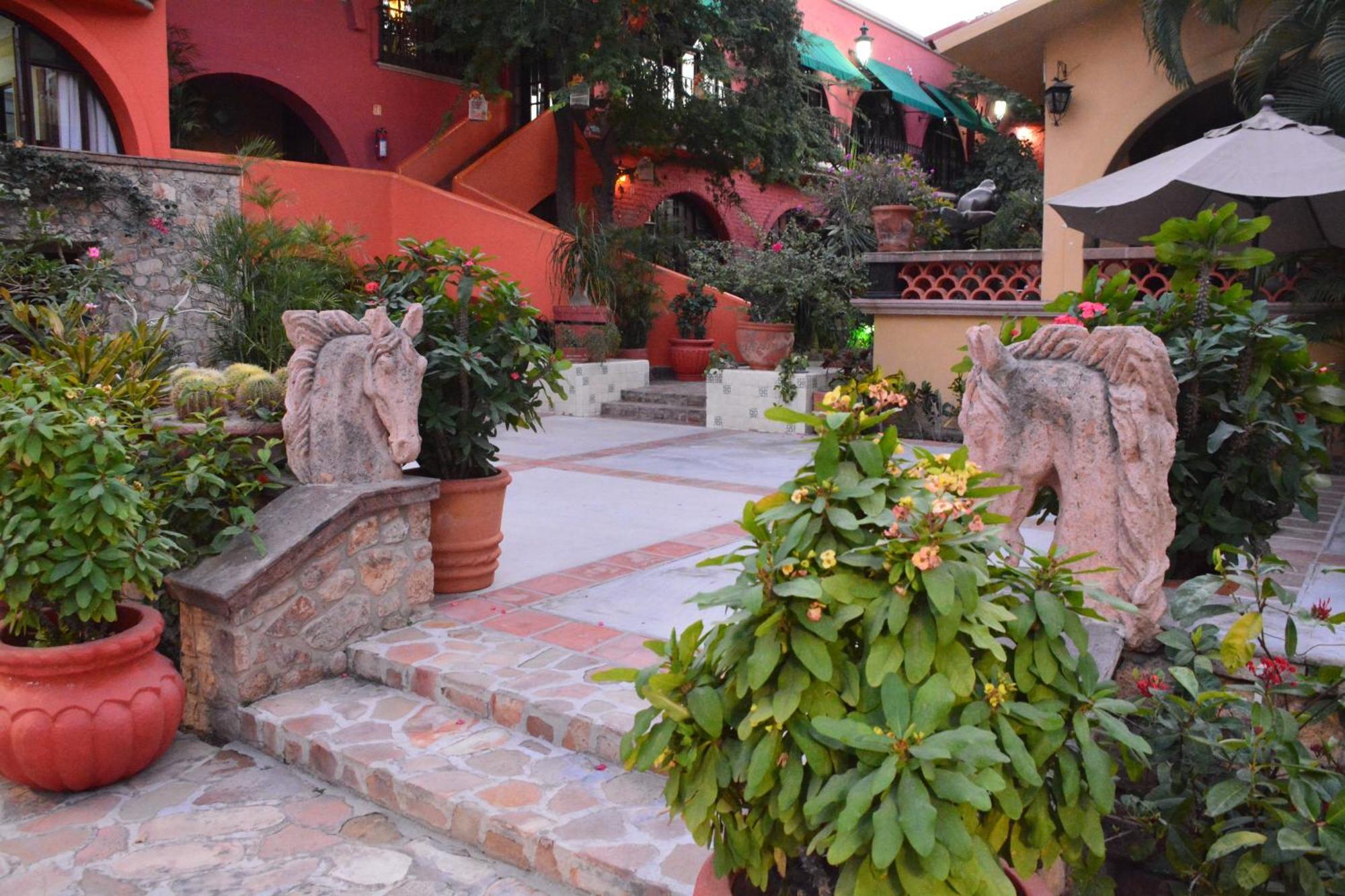 Collection O Casa Bella Hotel Boutique, Cabo San Lucas Eksteriør billede