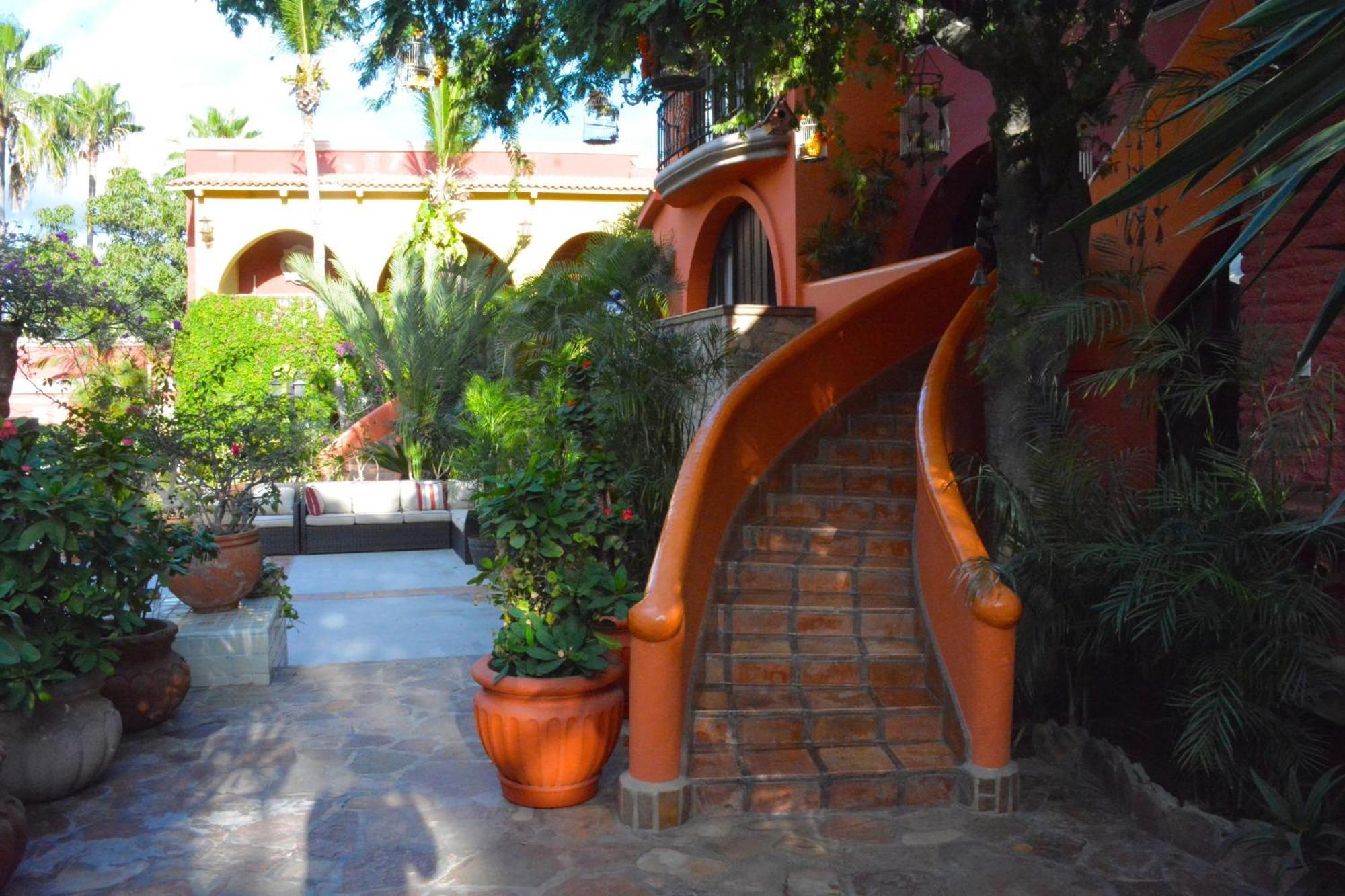 Collection O Casa Bella Hotel Boutique, Cabo San Lucas Eksteriør billede